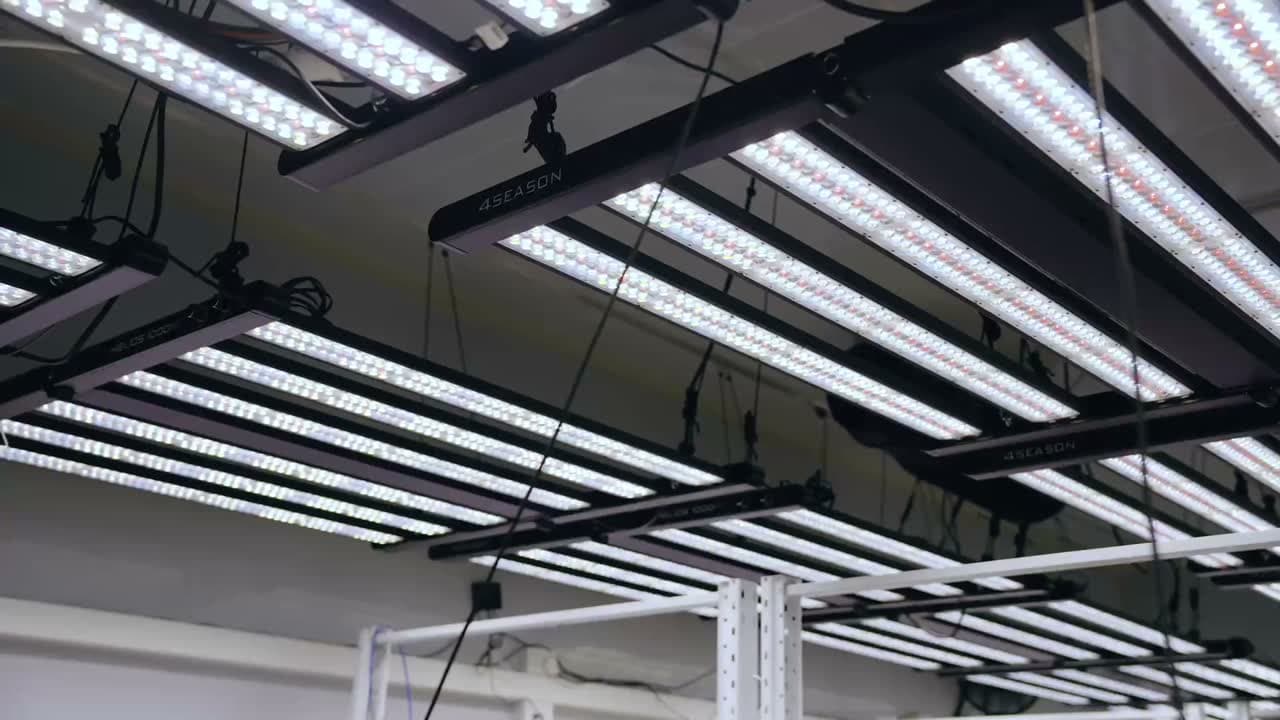 Inside Legacy AG — a monitored flowering room mid-run