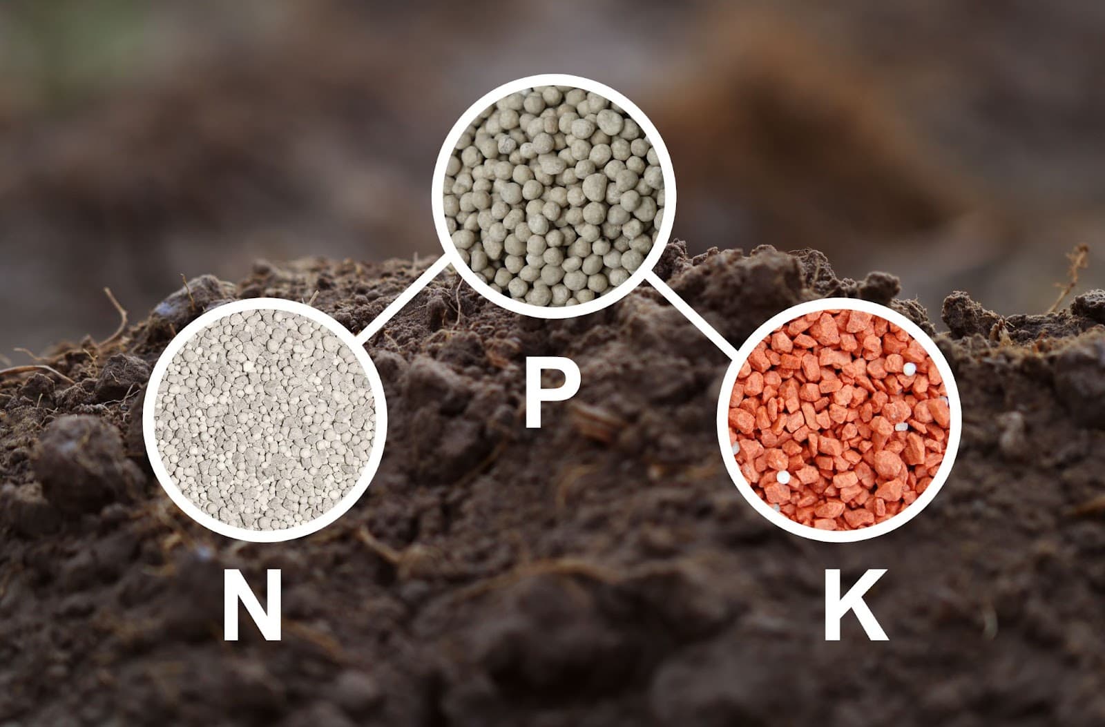 Nutrient management diagram