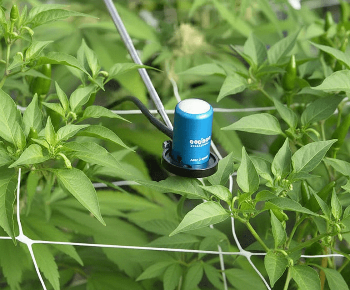 Grow Sensor and Apogee PAR meter light measurement accuracy comparison