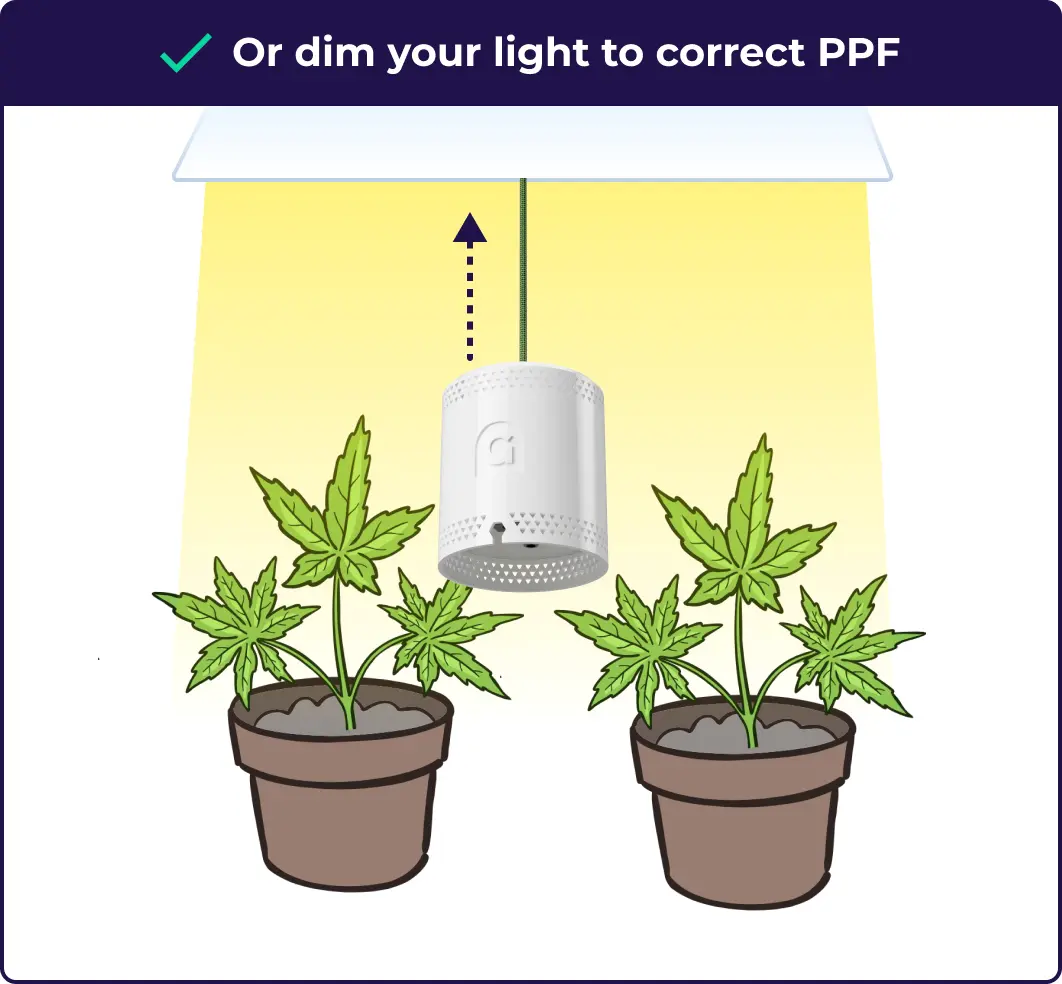 An infographic explaining that the user can also dim the lights do get the correct PPFD for growing cannabis.