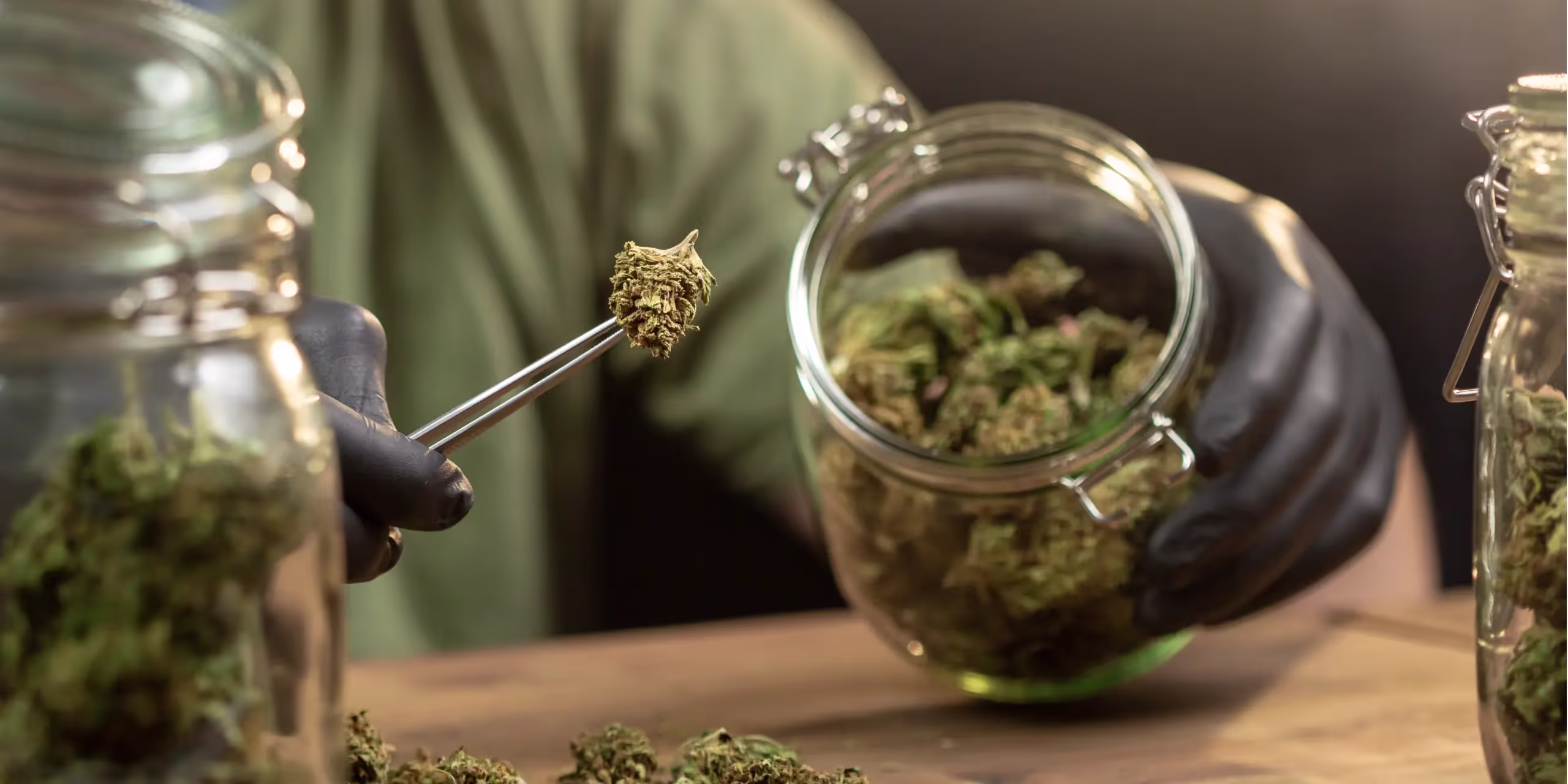 A novice cannabis grower learning drying and curing for beginners.