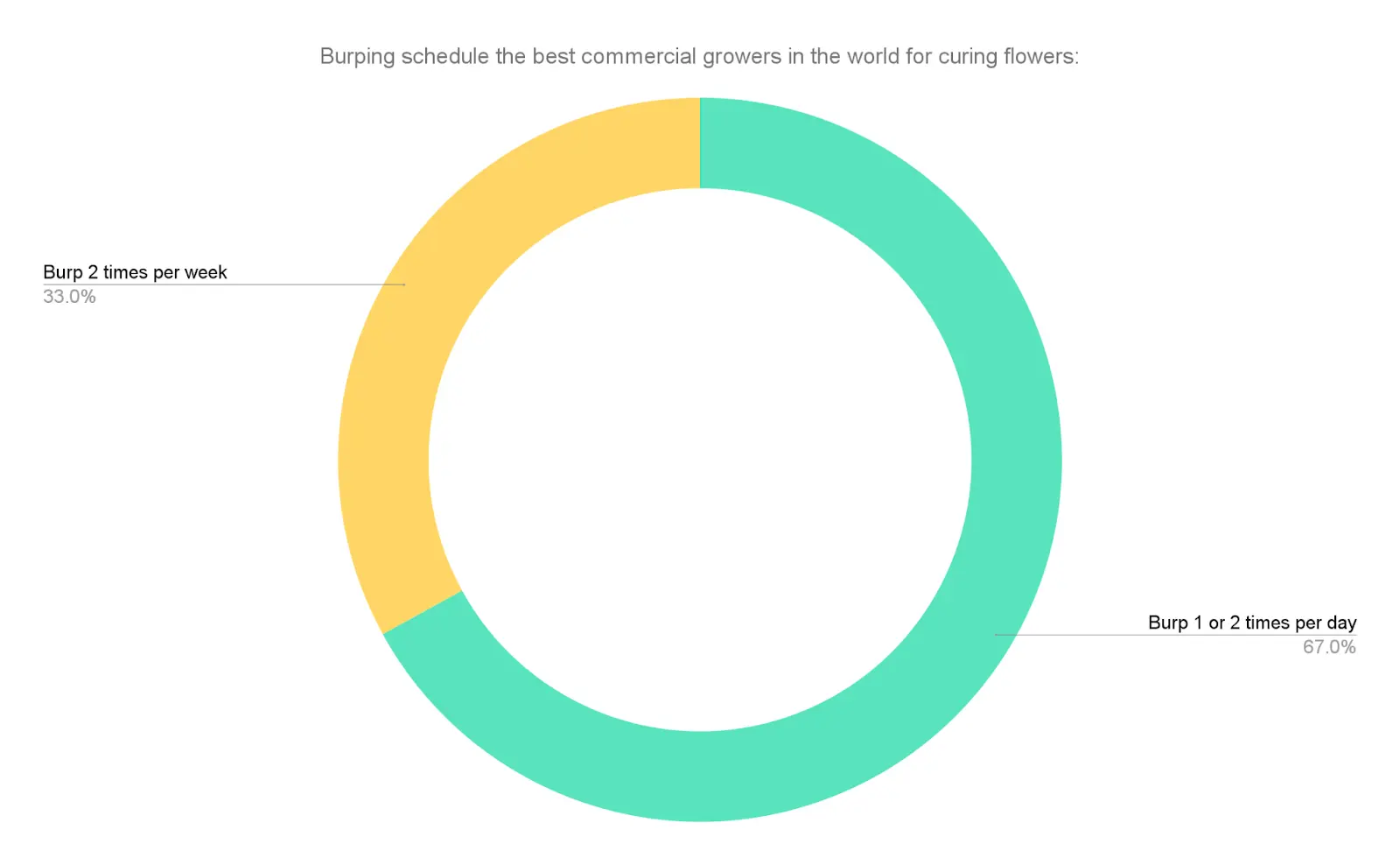 How often top commercial growers burp their cannabis during curing