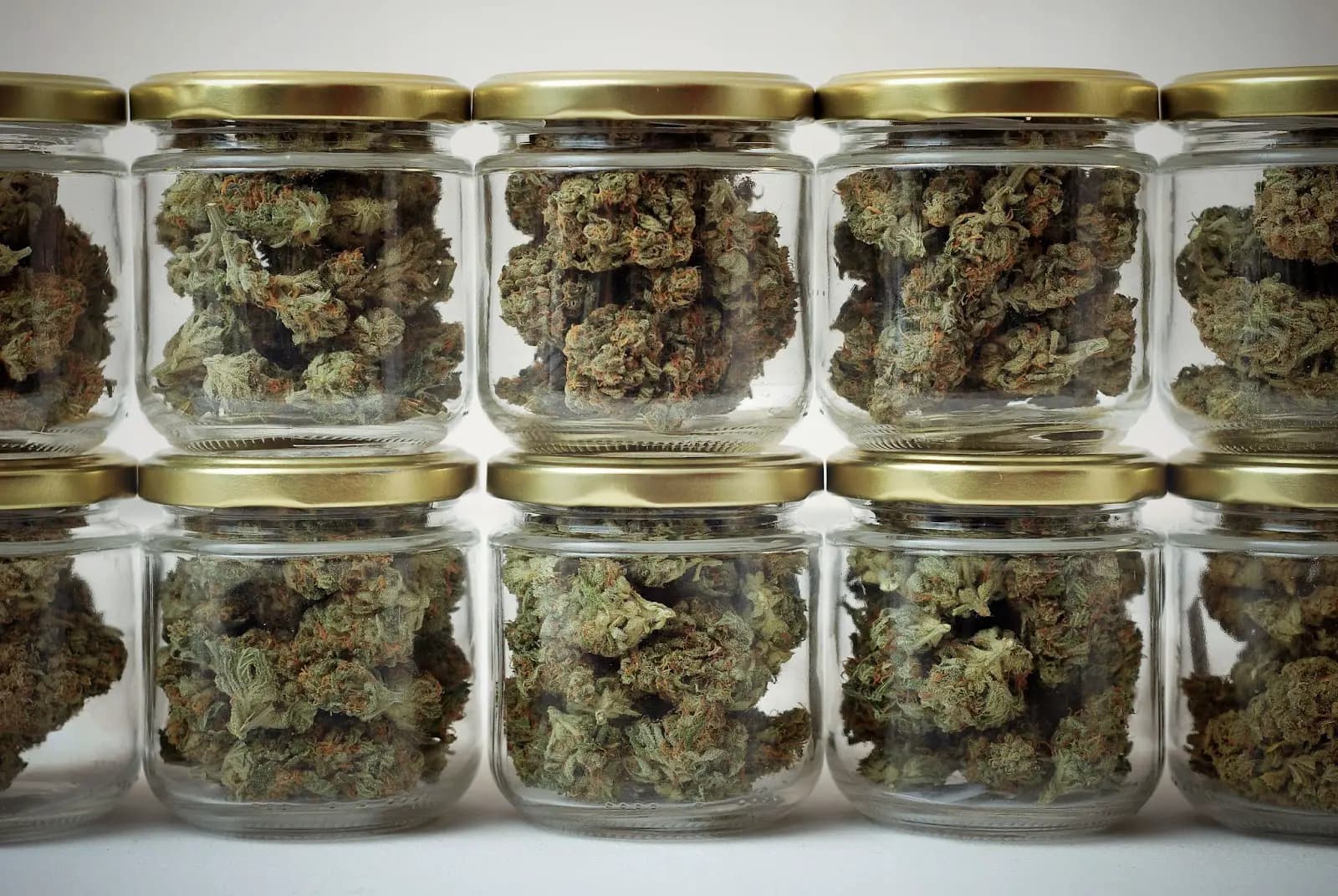 Cannabis drying and curing in glass jars.