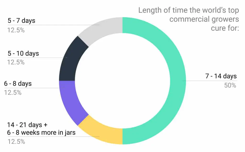 Pie chart - length of curing
