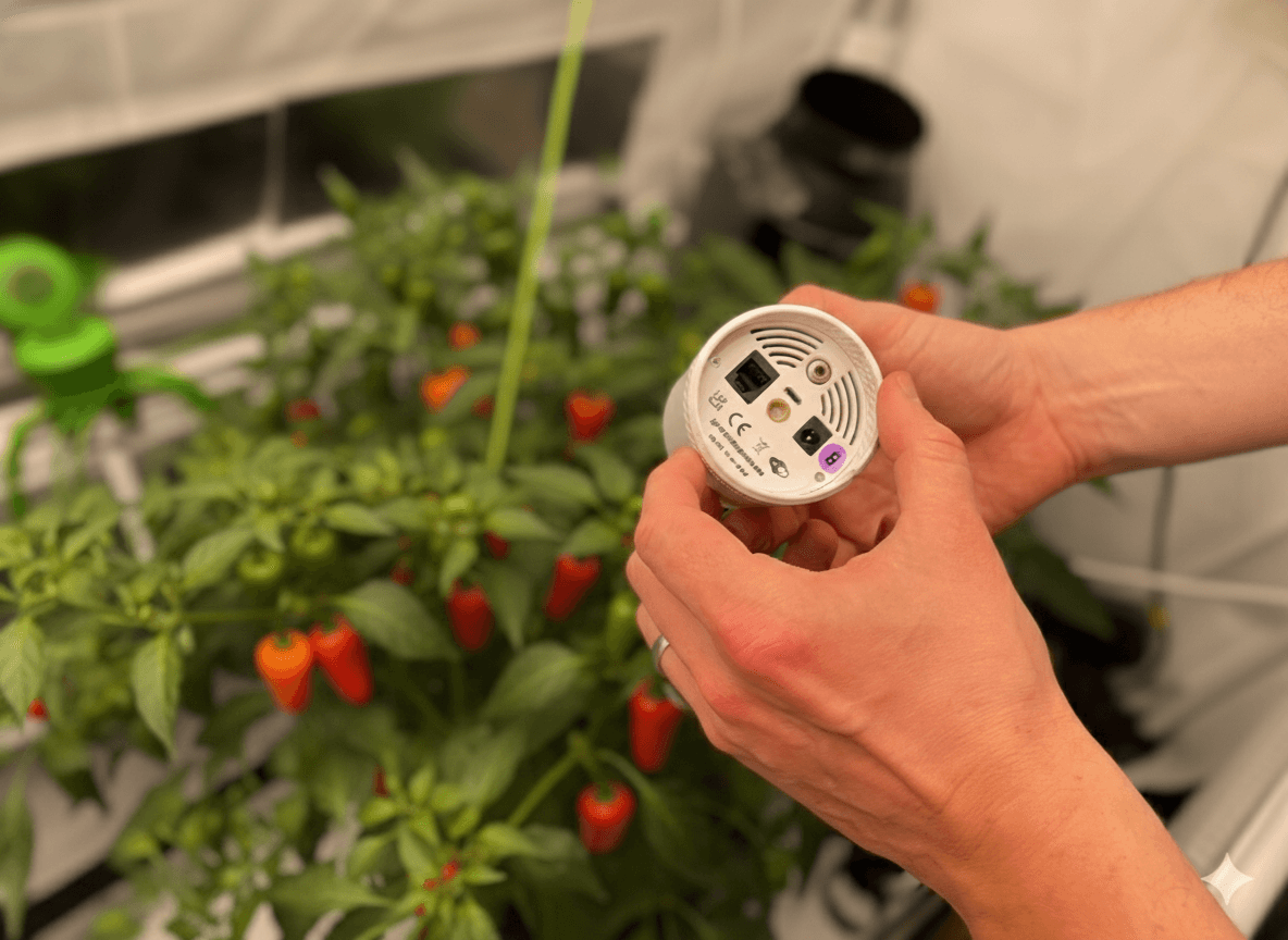 Photo of the base of the Grow Sensor