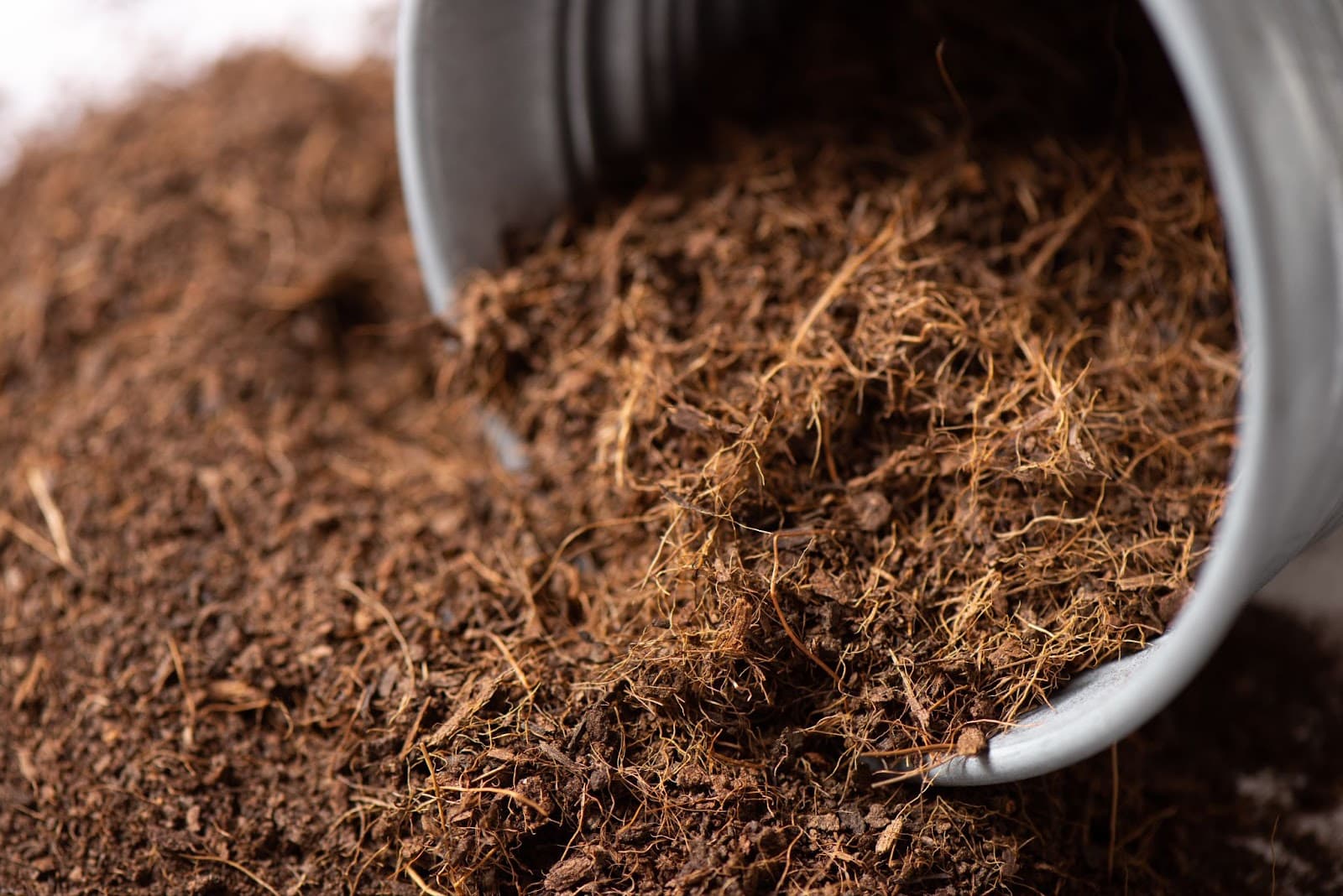 Coco peat for gardening. Coco peat is growing medium made out of coconut fibre husks
