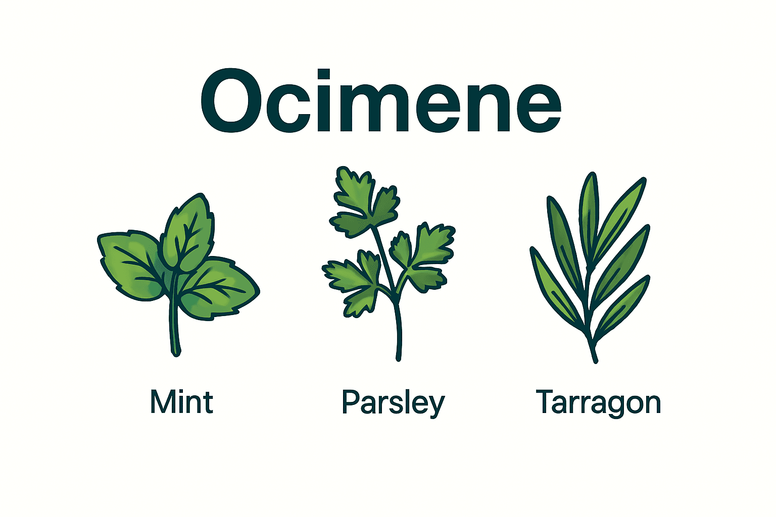 Ocimene terpene aromatics illustration