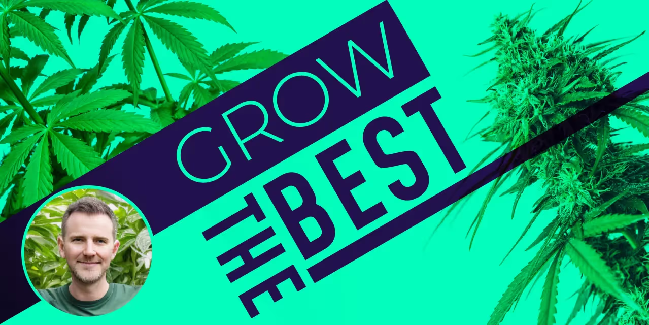 Learn more about LST and indoor growing by joining our news letter.
