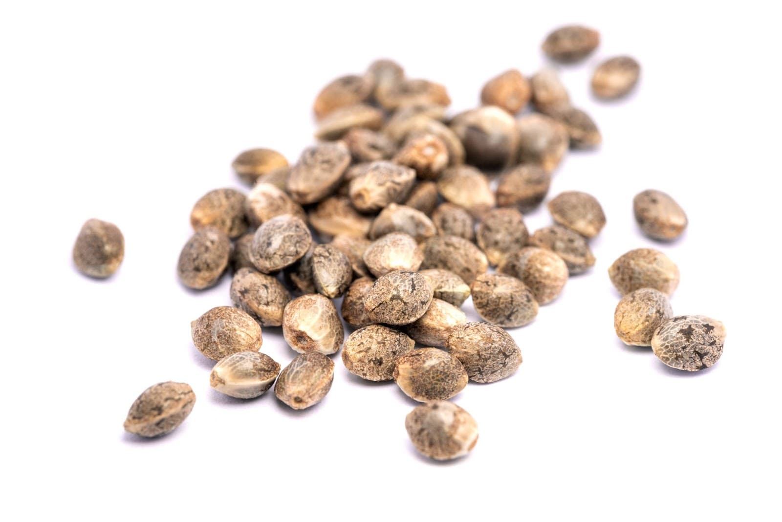 Cannabis seeds
