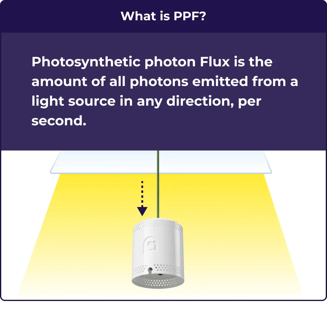 An illustration explaining what PPF is and why its helpful to growers.