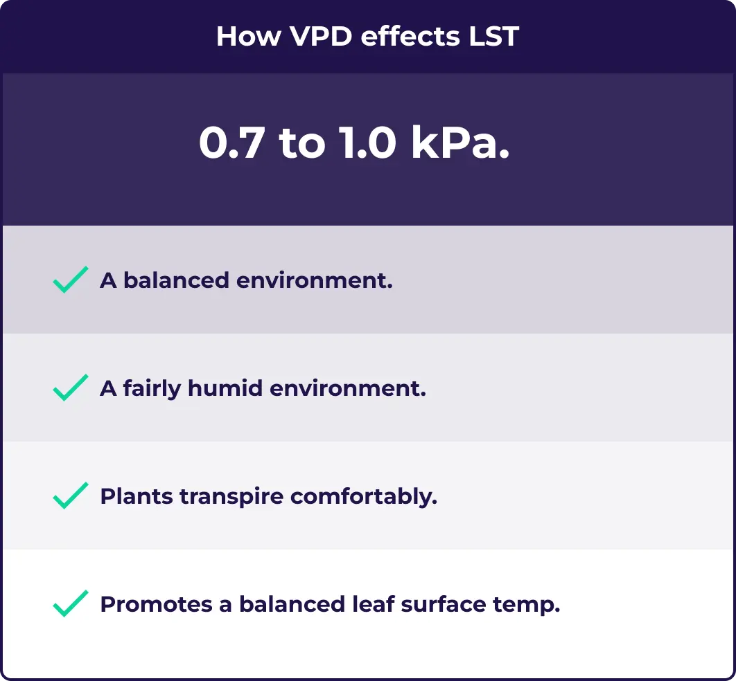 An illustration showing how the target VPD for veg also effects leaf surface temperature.