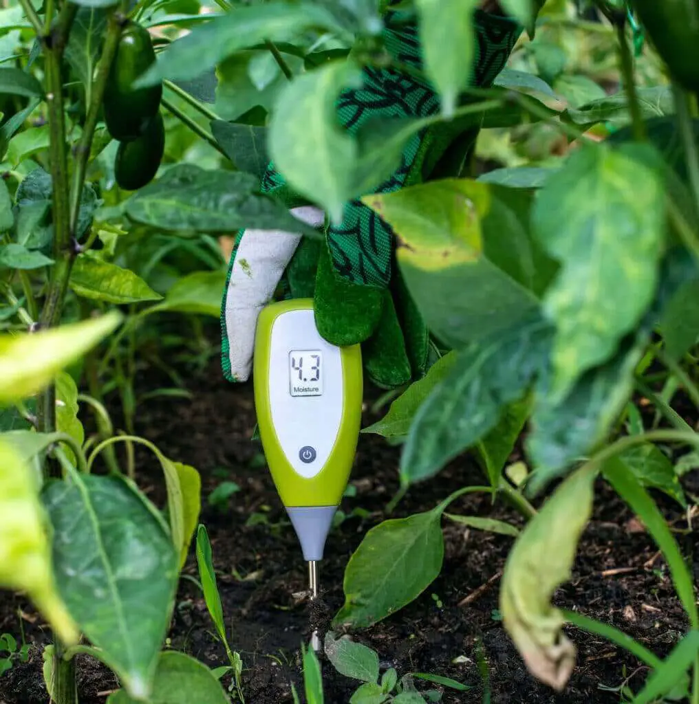hand holding a soil hydrometer measuring mositure level in soil