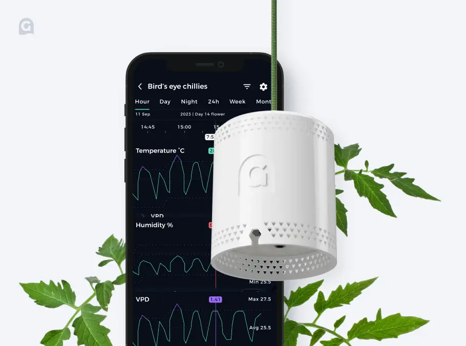 The Grow Sensor hanging in front of the Grow App on the iPhone