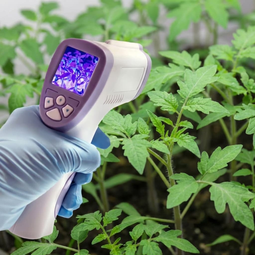 Thermal heat gun aimed at plants